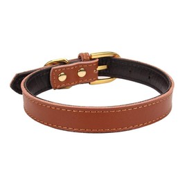 Ozpaw Padded Leather Dog Collar for Puppies Small Medium Dogs and Cats (Large, Brown)