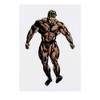 'Body Builder ' Temporary Tattoo - Water Resistant, Skin-Safe, Non-Toxic