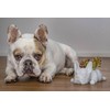 Doggy Planter | French Bulldog Planter Gift Idea, Bar Decor,