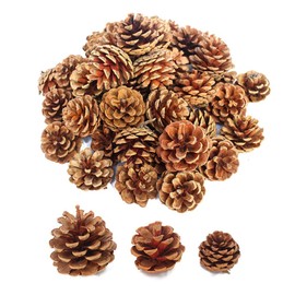 30 Pieces Natural Dried Pine Cones Christmas Ornaments Cones for Christmas Tree Party Hanging Decoration Crafts Brown 3 Sizes