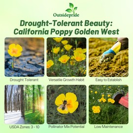 Outsidepride Golden West California Poppy Seeds - 5000 Pieces Annual, Drought Tolerant Eschscholzia Wildflower Seed w/Vibrant Yellow Blooms for Pollinator-Friendly Garden & Outdoor Landscapes