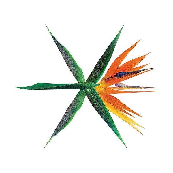 EXO - The War (4th Album) [KOREAN Random ver.] CD+Photobook+Photocard+ Official Folded Poster + Extra Photocard by CENGOY [Audio CD]