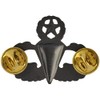 Army Master Parachute Badge Full Size Sil/Ox