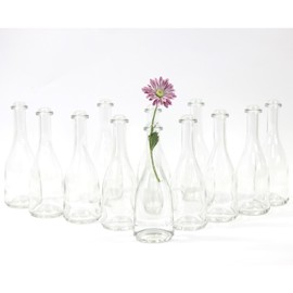 gouveo 12er Set Glasvasen Rustica200 - Runde Blumenvasen aus Glas - Kleine Deko-Vasen für Zuhause, Hochzeiten, Geburtstage, Feste