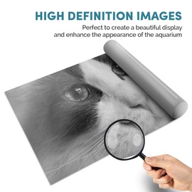 Fish Tank Background 90x45cm BW - Pretty Ragdoll Cat Eyes | Poster Backdrop Decoration Paper #39392