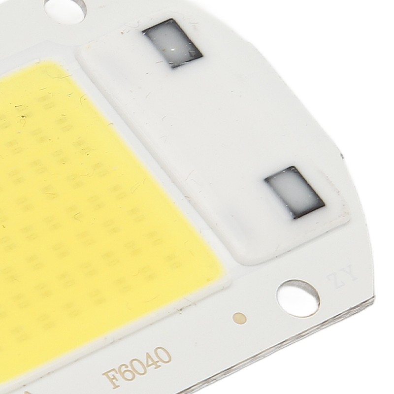 2 Pcs LED COB Chip High Power Driverless Integrated SMD