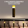 Yevheniy Light-up Wall Torch Lamp with 3 Lighting Levels, Hand