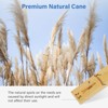 Sovvid 10 Pack Bb Clarinet Reeds, Natural Cane Reeds with