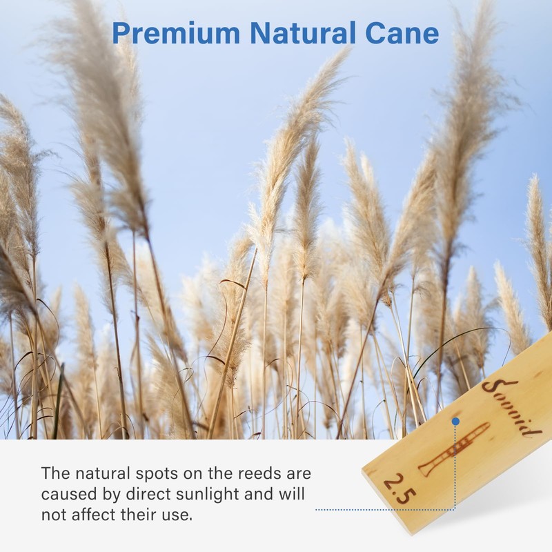 Sovvid 10 Pack Bb Clarinet Reeds, Natural Cane Reeds with