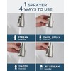 FORIOUS Kitchen Faucet with Pull Down Sprayer, Brushed Nickel, Classic