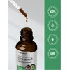 Horbäach Echinacea Goldenseal Liquid Tincture Drops | 2 fl oz