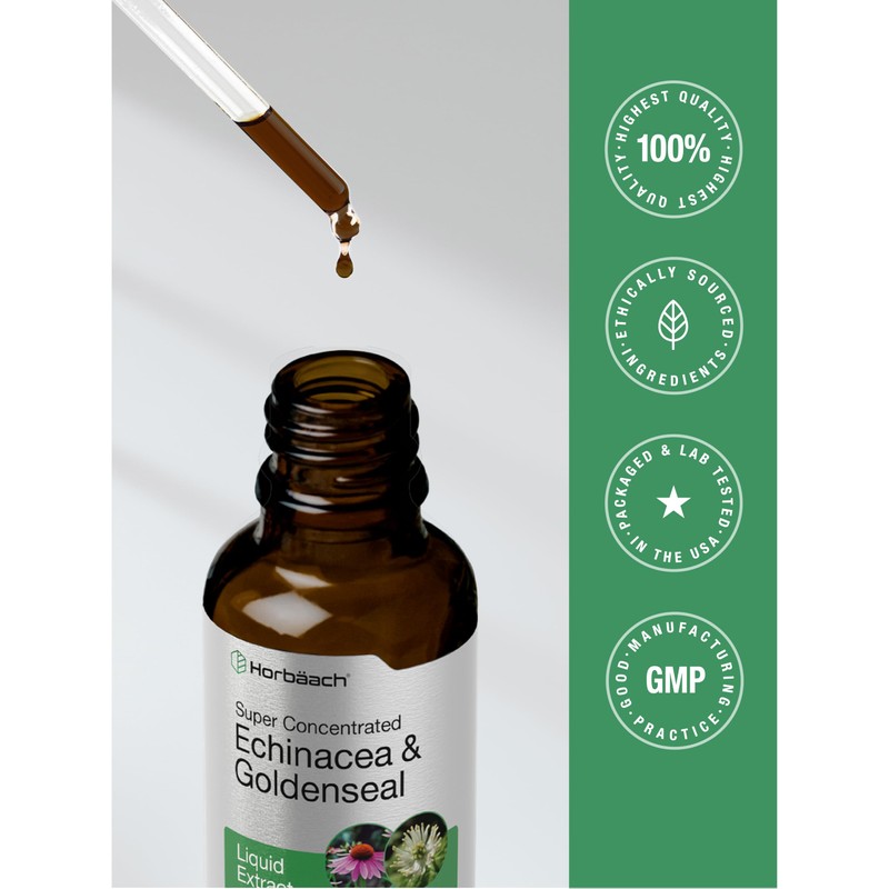 Horbäach Echinacea Goldenseal Liquid Tincture Drops | 2 fl oz