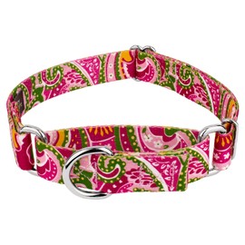 Country Brook Petz - Pink Paisley Martingale Dog Collar - Paisley Collection Featuring Classy Designs (1 Inch, Medium)
