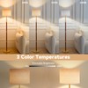 SIBRILLE 62" Mid Century Modern Wood Floor Lamp with Remote