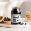 Smucker's Natural Blueberry Fruit Spread, 17.25 Ounce