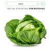Yebon Bio Curry Kale Curly Kale Curly Kale Benefits Curly