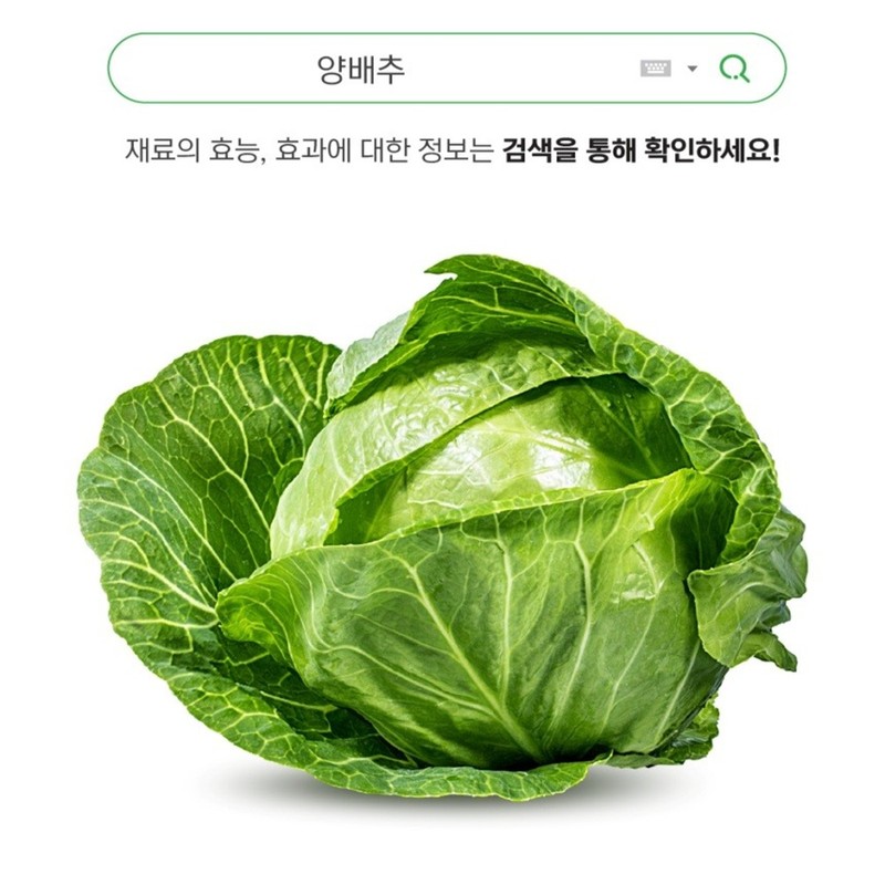 Yebon Bio Curry Kale Curly Kale Curly Kale Benefits Curly