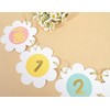 Daisy Monthly Milestone Photo Banner - Boho Daisy 1st Birthday