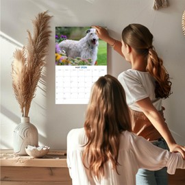 2025 2026 Irish Wolfhound Calendar - Dog Breed Monthly Wall Calendar - 12 x 18 Open - Thick No-Bleed Paper - Giftable - Academic Teacher's Planner Calendar Organizing & Planning - Made in USA