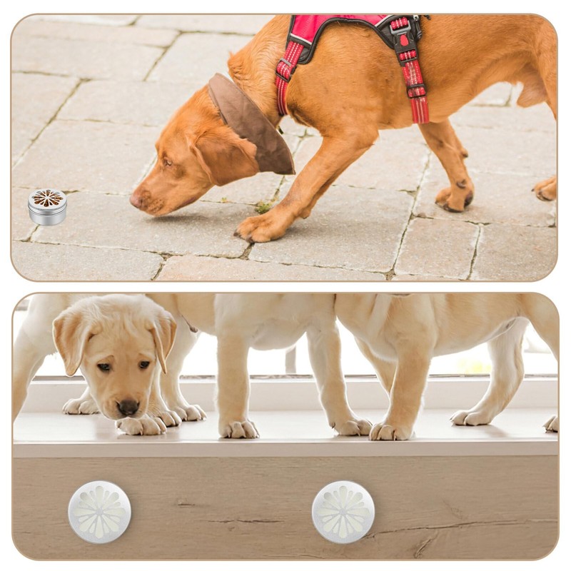 Mipcase Dog Training Scent Tins: 12pcs Dog Scent Training Box