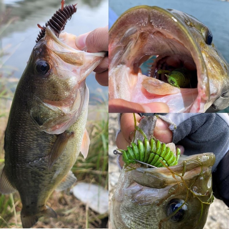 DAIWA Summer Craw Bath Worm Move Bait 4.3