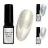 Reliable Japanese Magnetic Gel Super Shine Artist Gel Series Color