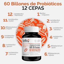 Probioticos 60 Billones de 12 Cepas + Prebioticos con Inulina Raiz de Achicoria | Probioticos Mujer y Hombre | OBY MULTI Probiotics - 60 Cápsulas para