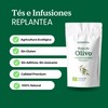 Olive Leaf Tea Organic 100g (50 Cups) | 100% Pure