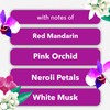 Glade PlugIns Refills Air Freshener, Scented and Essential Oils for