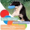 Audiophan Flying Disc Dog Training Competition Sports Disc Soft Bite