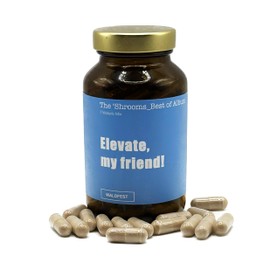 7 Mushrooms - Vital Mushroom Powder Mix in Capsules - 90 Pieces of 500 mg - EU Bottled, Vegan & Vegetarian - EU Laboratory Tested - Nootropics - Reishi, Cordyceps, Hericium etc.