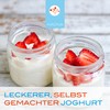 kaona Joghurtkultur - Ferment fr die Herstellung von probiotischem Joghurt