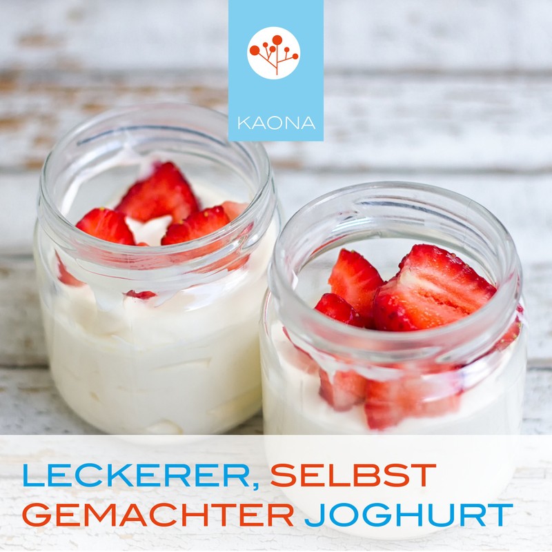 kaona Joghurtkultur - Ferment fr die Herstellung von probiotischem Joghurt