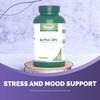 VORST Alpha GPC 600mg 120 Vegan Capsules | Bioavailable Choline