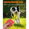 Squeaky Dog Toys, Stuffed Plush Puppy Toy Balls to Keep