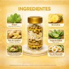 Diet Shelt Day Energía Y Apoyo Metabólico Natural 60 Caps