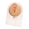 Vogem Piercing Practice Model Fake Ear Shape for Jewelry Display