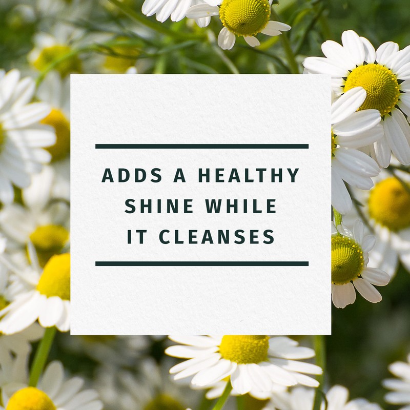 Herbal Essences Shine Collection Shampoo