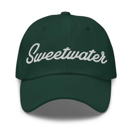 Sweetwater Baseball Cap Sweetwater Dad Hat Bold Baseball Script Michigan MI Hat Embroidered Souvenir Gift Spruce