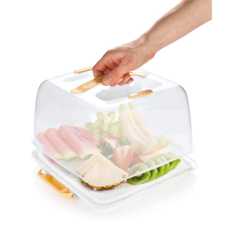 Tescoma Delícia Cooling Bowl with Lid 28 x 28 cm