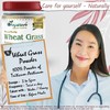 Wheat Grass Powder