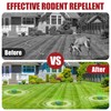 Deer Repellent Ball 12 Pcs: Effective Deer Deterrent for Garden,