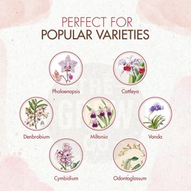 Organic Ready to Spray Orchid Food Mist - Bloom Booster Fertilizer for Orchids in Pots - Plant Nutrients for Healthy Flower & Reblooms (8 oz)