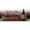 Ancient Purity FULVIC Acid Minerals 50ml (4 Months Supply) MLG-50