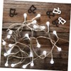 Sosoport Enhance Festive Spirit 40pcs Garden Light Clip Set Outdoor