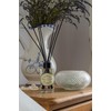 Naturally European Fragrance by Somerset Milk Room Diffuser, 3.38 Fl