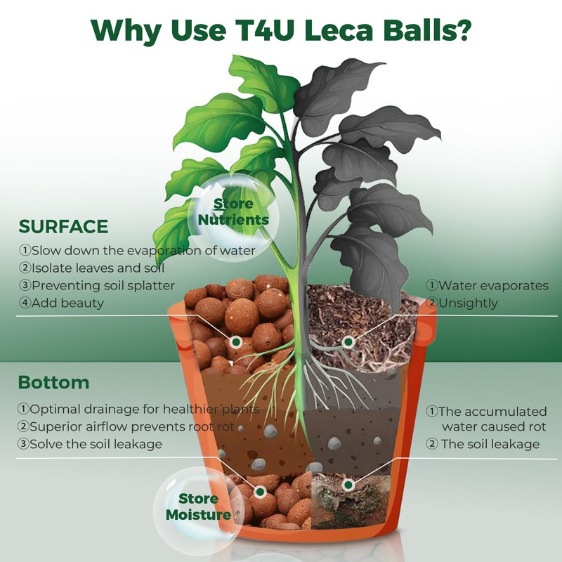T4U Leca Clay Pebbles for Plants, 1.5qt 10-20 mm Clay
