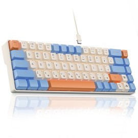 Solakaka SK968 60% Wired Gaming Keyboard,RGB Backlit,USB-C, Compact Mini Keyboard for Office PC Gamers Gaming Rainbow Backlight, Gaming Accessories, Computer Accessories Budget Keyboard - Colour: Blue&Orange