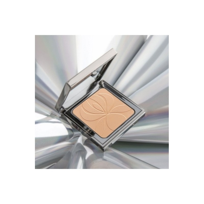 Blur Expert 11g (Powder) / 블러 엑스퍼트 11g (파우더)