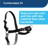 PetSafe Easy Walk Harness, No Pull Harness for Dogs, Adjustable